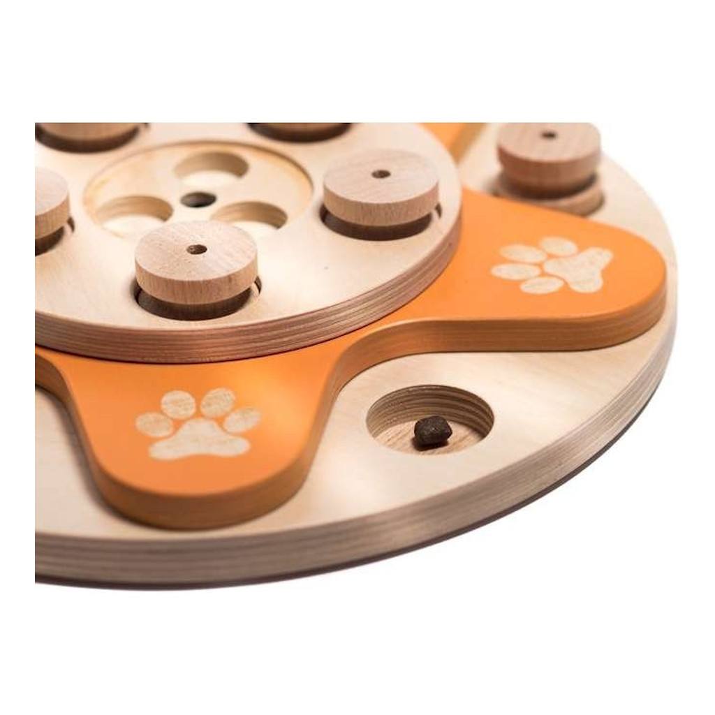 My Intelligent Dogs Birthday Cake - interaktives Spiel für Hunde