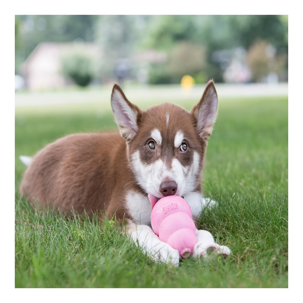 Lustiges Hot Dog Hundespielzeug Mit Squeaker  13 Cm Quietschspa Fr  Welpen & Kleine Hunde Dog Spiel