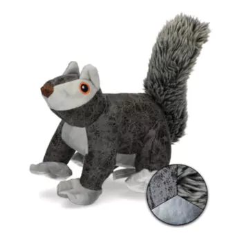 Elegant Squirrel Grau oder Braun